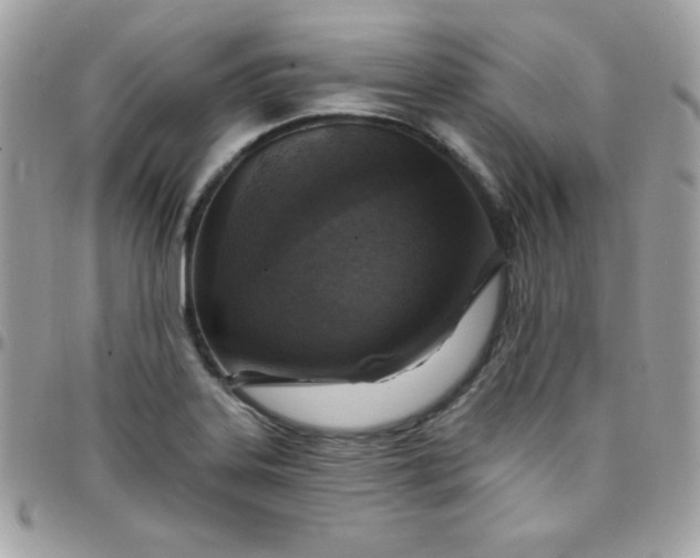 X0000097751323200803211643