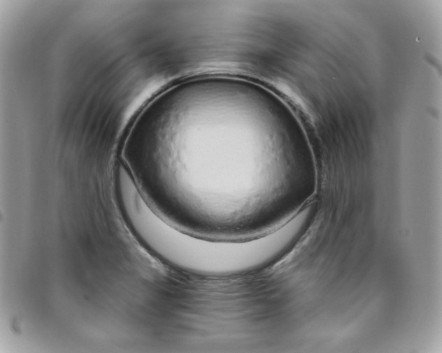 X0000097751325200803211643