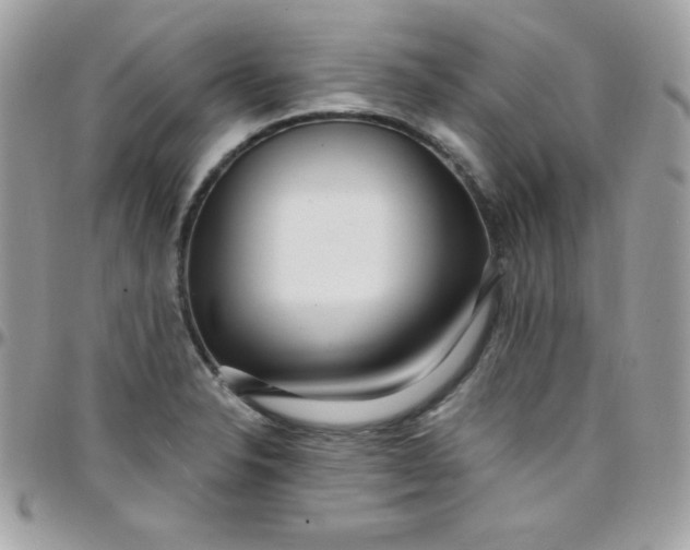 X0000097751326200803211643