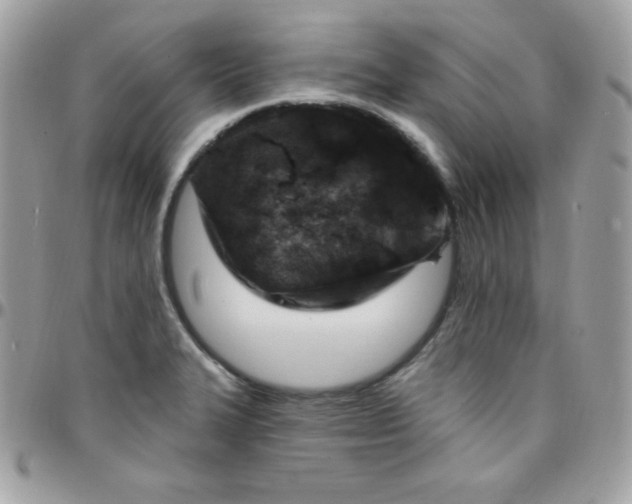 X0000097751327200803211643