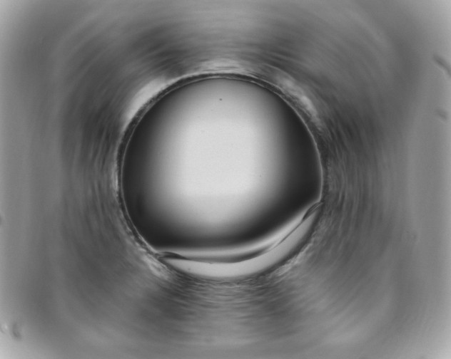 X0000097751328200803211643