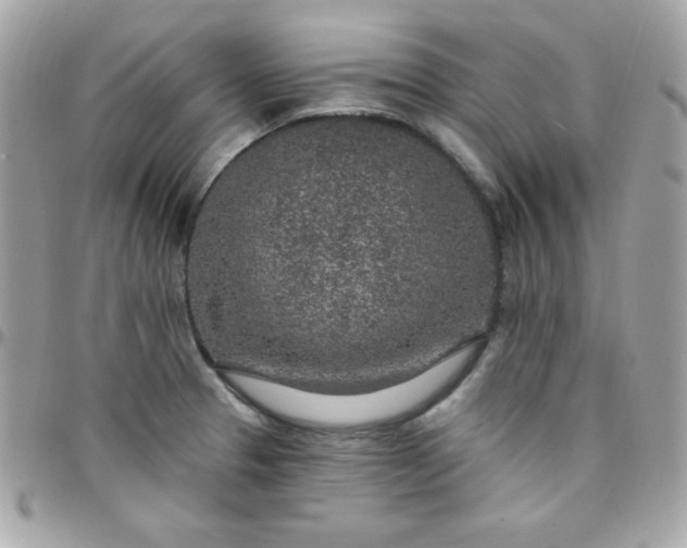 X0000097751329200803211643