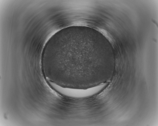 X0000097751331200803211643