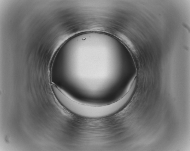 X0000097751332200803211643