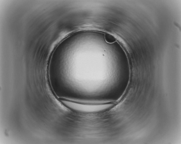 X0000097751333200803211643