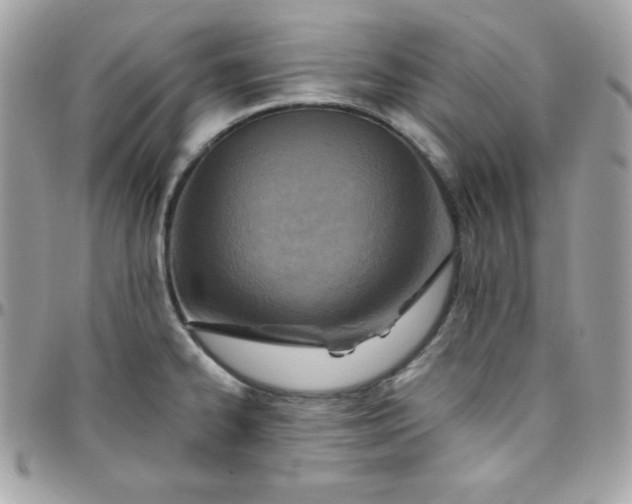 X0000097751334200803211643