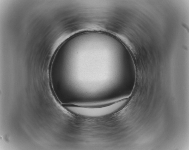 X0000097751335200803211643