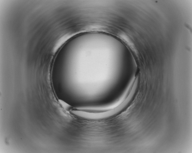 X0000097751336200803211643