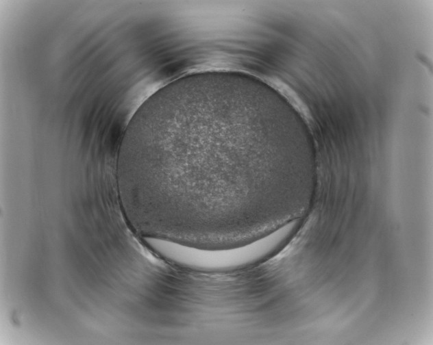 X0000097751337200803211643