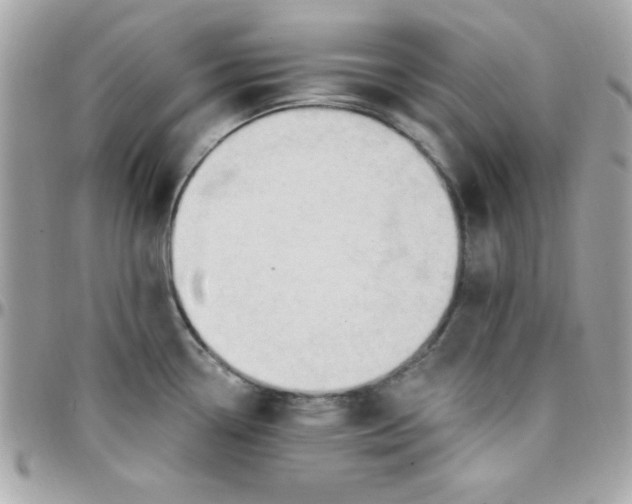 X0000097751338200803211643