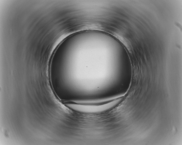 X0000097751339200803211643