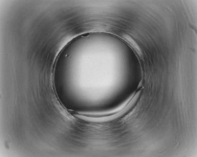 X0000097751340200803211643