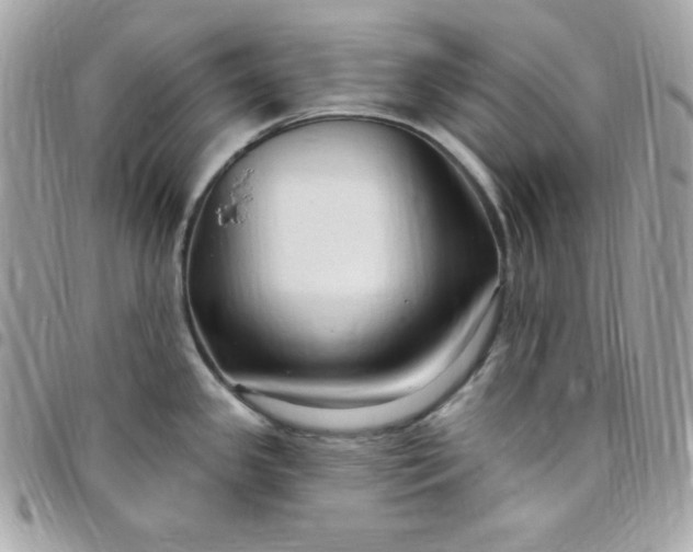 X0000097751341200803211643