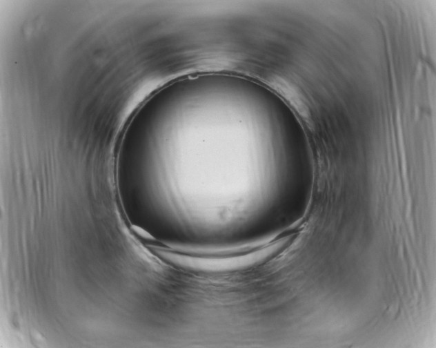 X0000097751342200803211643