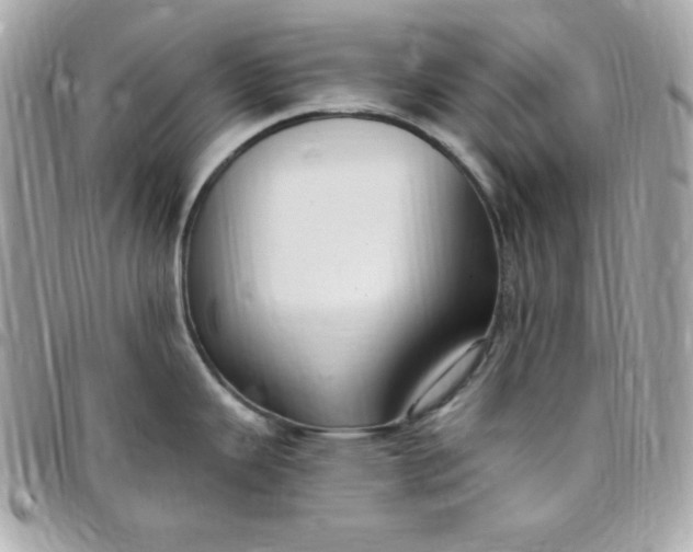 X0000097751343200803211643