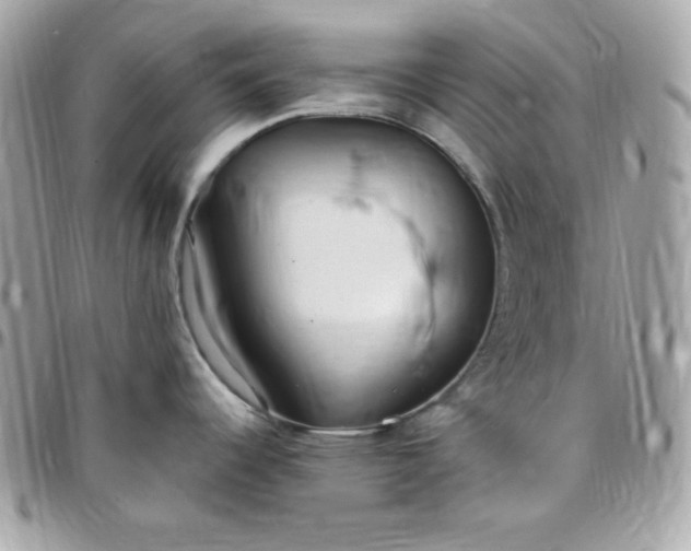 X0000097751344200803211643