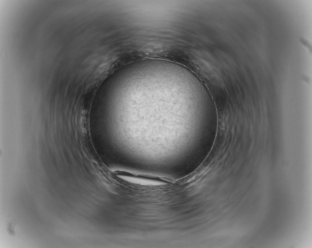 X0000097751346200803211643