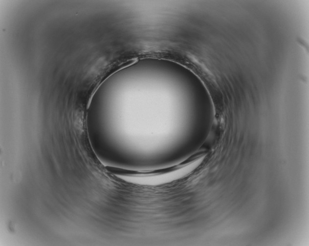 X0000097751348200803211643