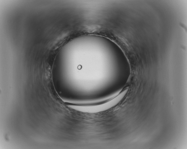 X0000097751349200803211643