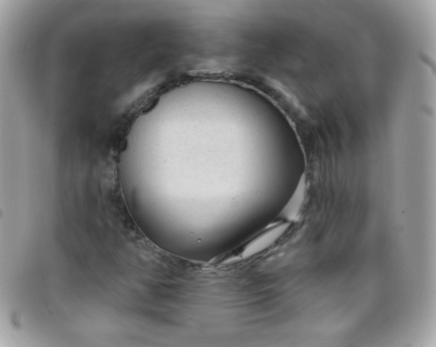 X0000097751350200803211643