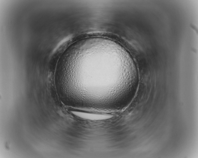 X0000097751351200803211643