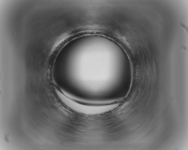 X0000097751352200803211643