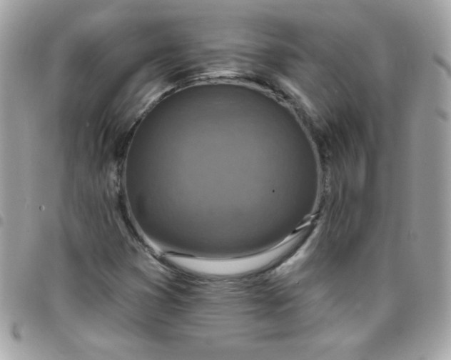 X0000097751353200803211643