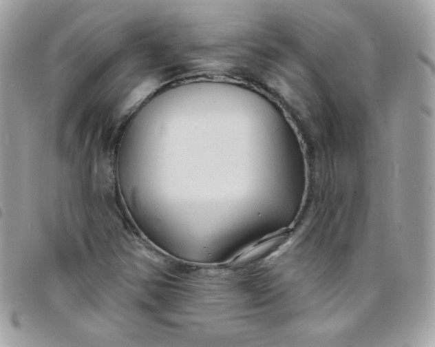 X0000097751354200803211643