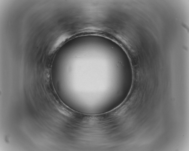 X0000097751355200803211643