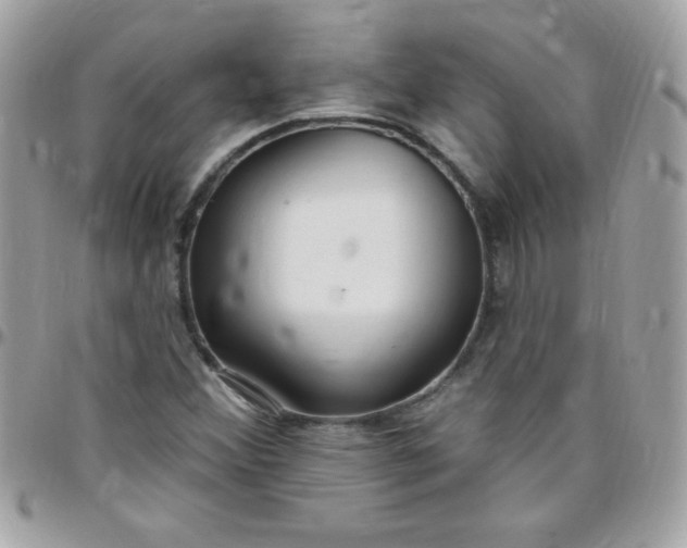 X0000097751356200803211643