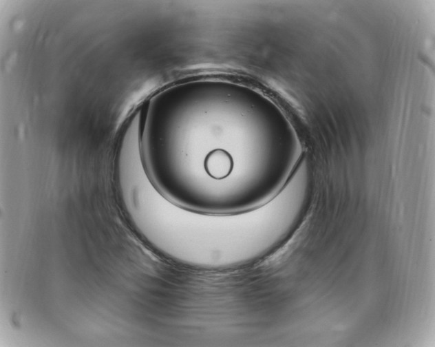 X0000097751357200803211642