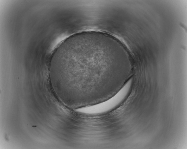 X0000097751359200803211642