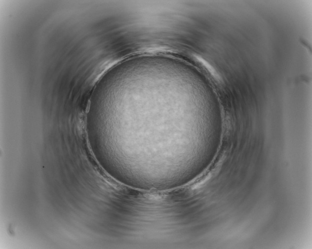 X0000097751361200803211642