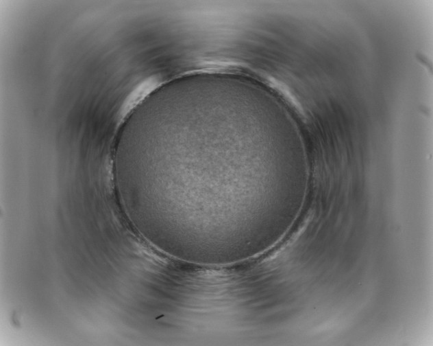 X0000097751362200803211642