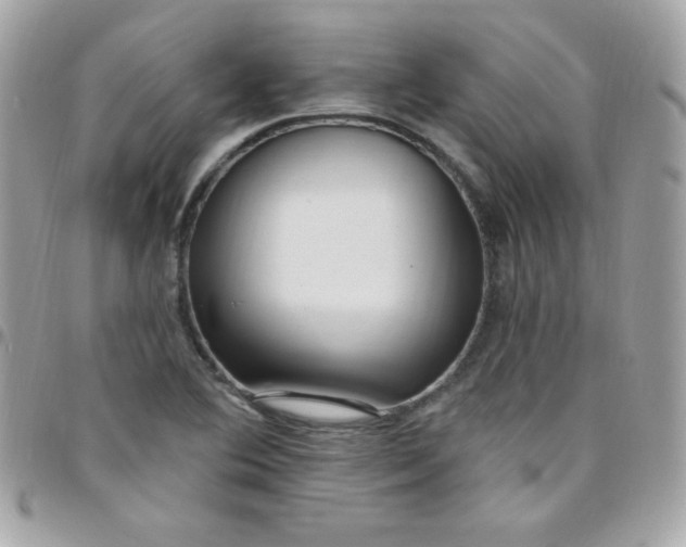 X0000097751364200803211642