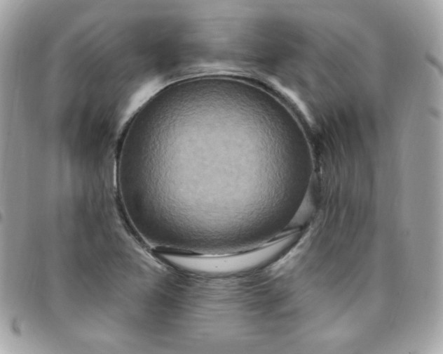 X0000097751365200803211642