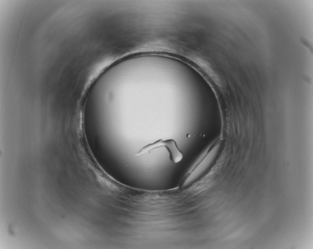 X0000097751366200803211642