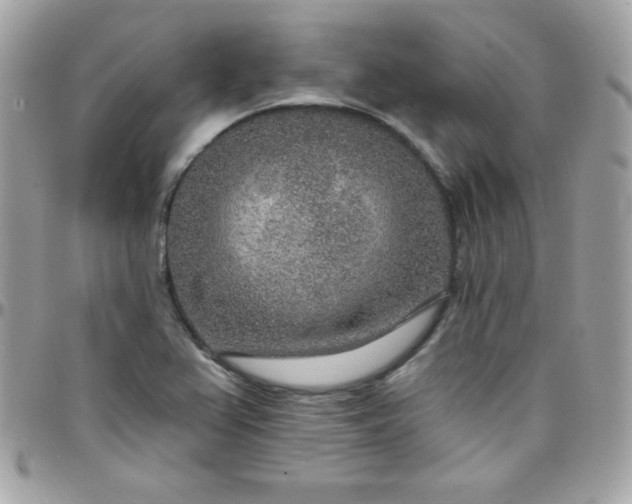 X0000097751367200803211642