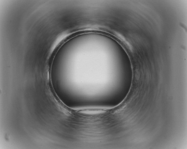 X0000097751368200803211642