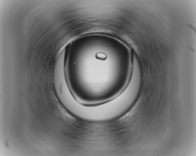 X0000097751369200803211642