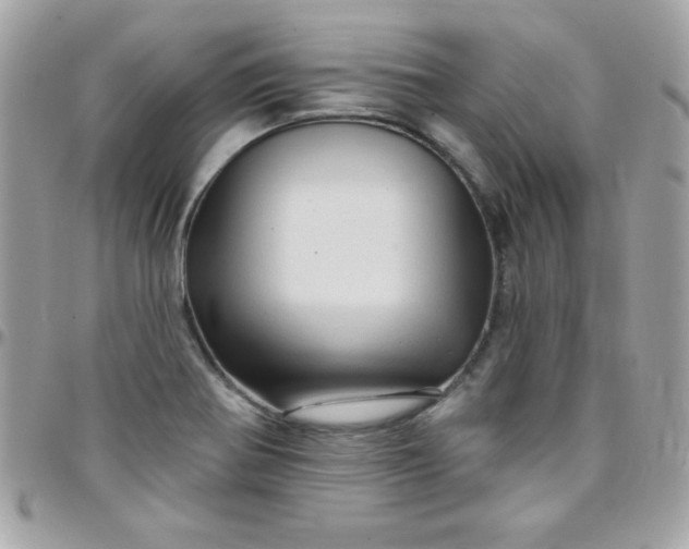 X0000097751370200803211642