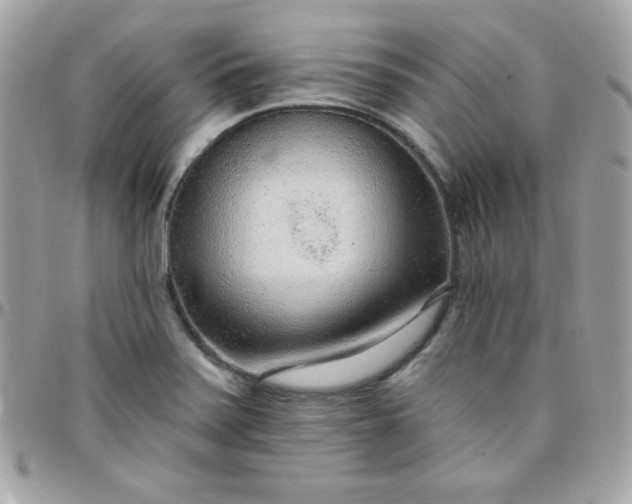 X0000097751371200803211642