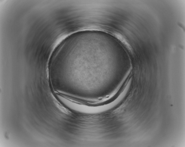 X0000097751372200803211642