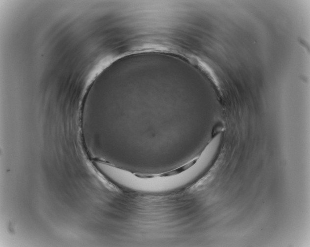 X0000097751373200803211642