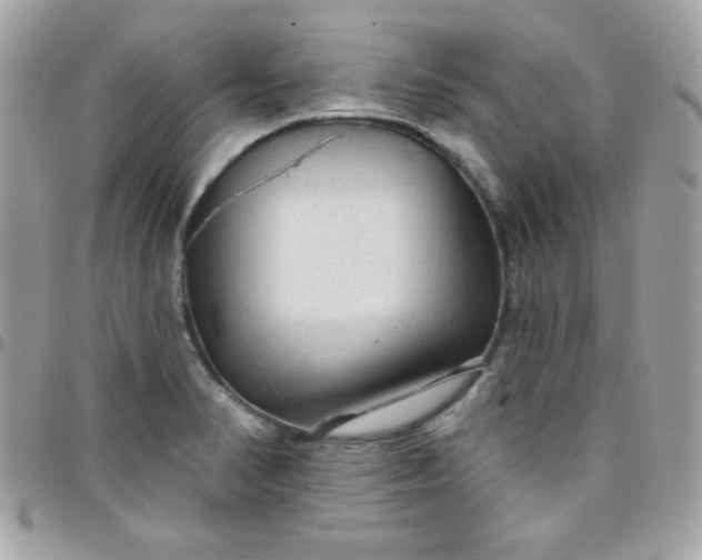 X0000097751374200803211642