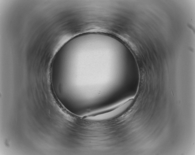 X0000097751375200803211642