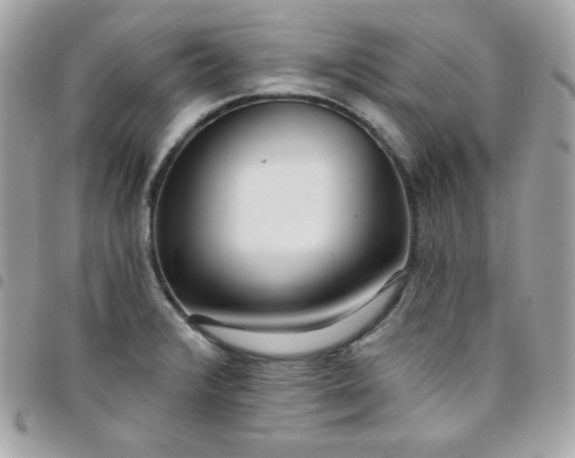 X0000097751376200803211642