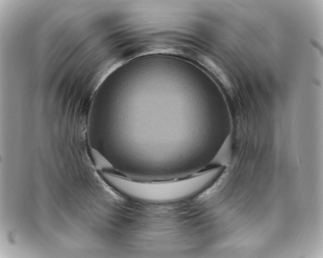 X0000097751377200803211642