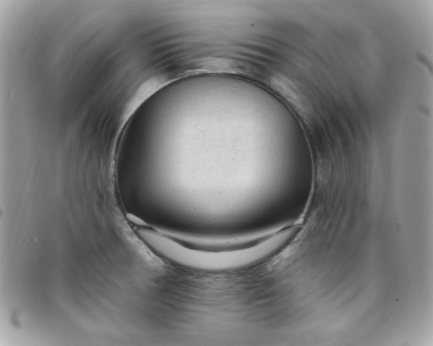 X0000097751378200803211642