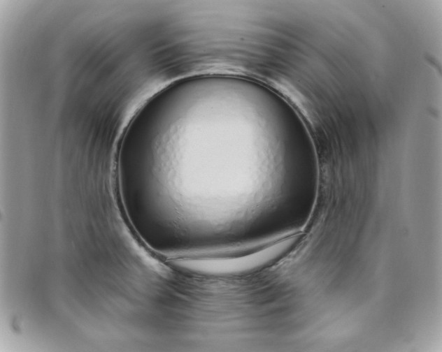 X0000097751379200803211642